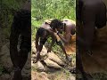 Hadzabe Tribe Bushmen Use Natural Sources Of Water To Keep Clean In The Bush 