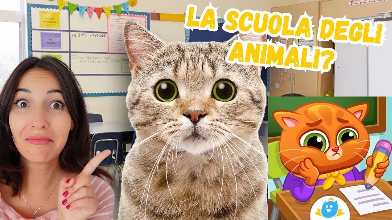MANDARE I GATTI A SCUOLA E' STATA UNA BUONA IDEA!?