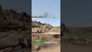Inside Ghana's Famous Tenzouk Shrine! Skulls!