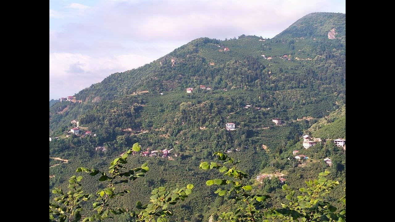 Araklı Mahtila Karatepe Köyü Tanıtım Videosu