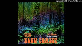 1967 RAW CA GARAGE PSYCH Bleu Forest "A Woodland Spring"Teenage Shutdown Ichiban Live At Jimmie's