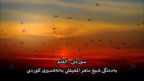 سوره‌تی القلم به‌ده‌نگی شیخ ماهر المعيقلي به‌ته‌فسیری کوردی