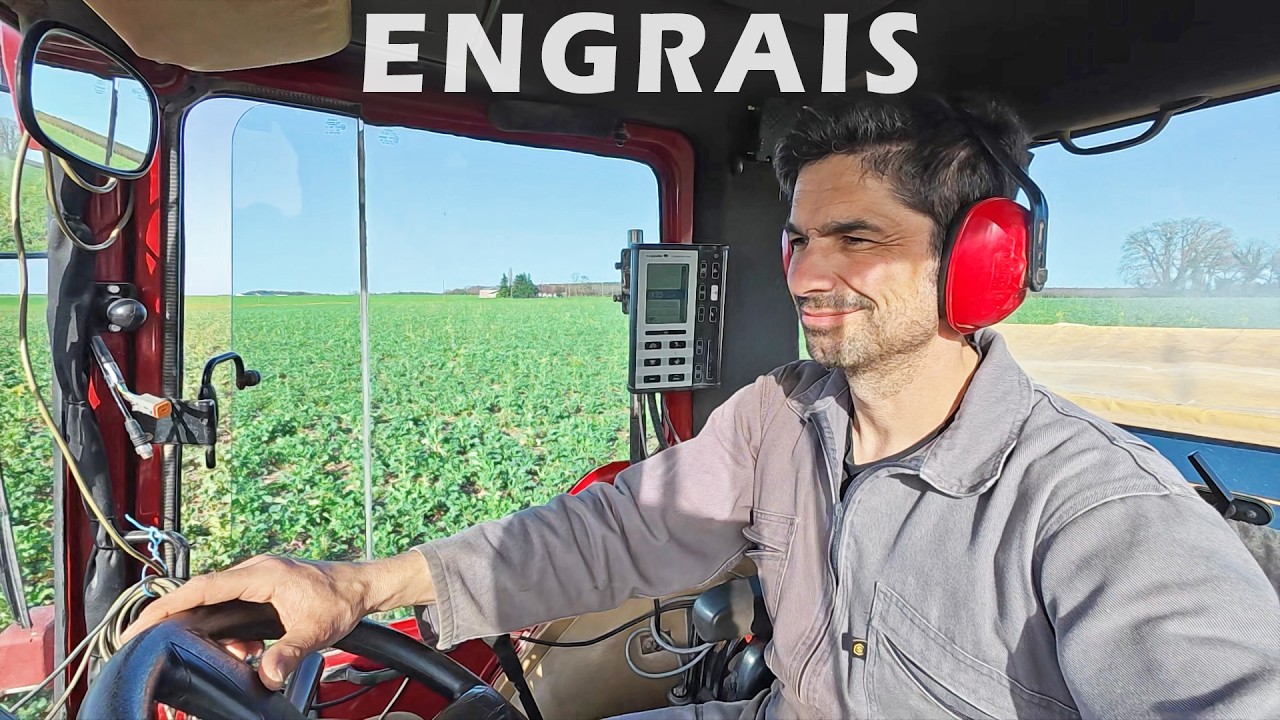 Engrais sur un colza qui démarre fort cette année  - 2026