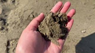 Coyote Point: Erosion, Rocks, and Coastal Change