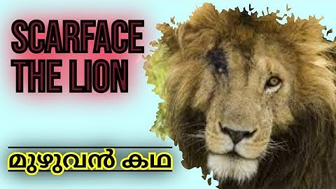 Scarface the Lion -full story മുഴുവൻ കഥ