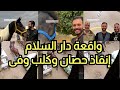 ليلة فى قسم الشرطة مع حصان وكلب 