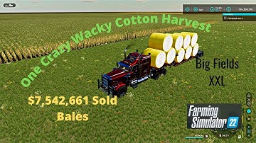 FS22 Big Fields XXL  Crazy Wacky Cotton Harvest With 4 Harvesters Running On Courseplay