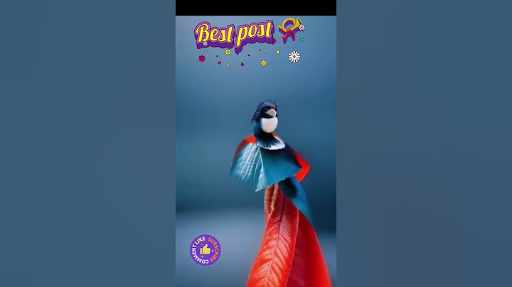 Trend ke sath chalna padta hai #youtubeshorts #song