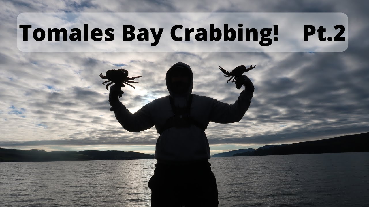 Crabbing In Tomales Bay (SUCCESS!) YouTube