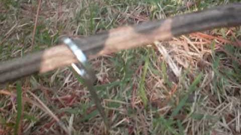 Toggle Release Snare trap