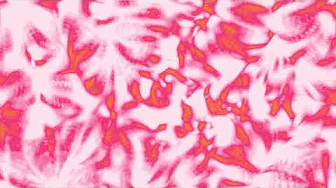Pink, Orange and White Fractal Background || 1 Hour Looped HD