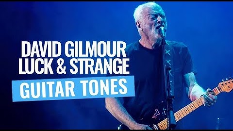 David Gilmour