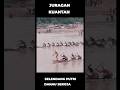 Selendang Putri Danau Seroja 🆚 Juragan Kuantan #pacujalur #fypyoutube #viralvideos
