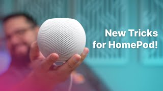 New HomePod mini Features with iOS 16.3