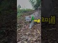 快来个人教教我,怎么才能让我家话痨吗闭嘴