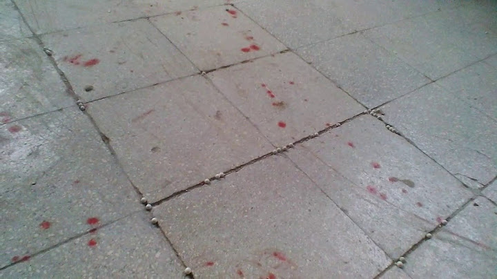 Vér az elhagyatott kórházban!?