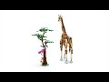 Video: LEGO® 31150 Creator savvaļas safari dzīvnieki