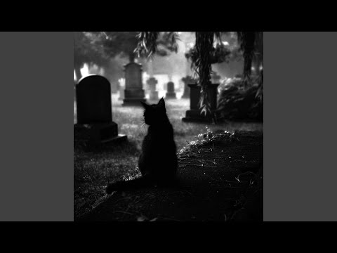 GRAVEYARD HARDTEKK Slowed Viral Edit 