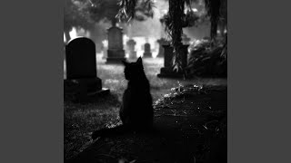 GRAVEYARD HARDTEKK (Slowed Viral Edit)