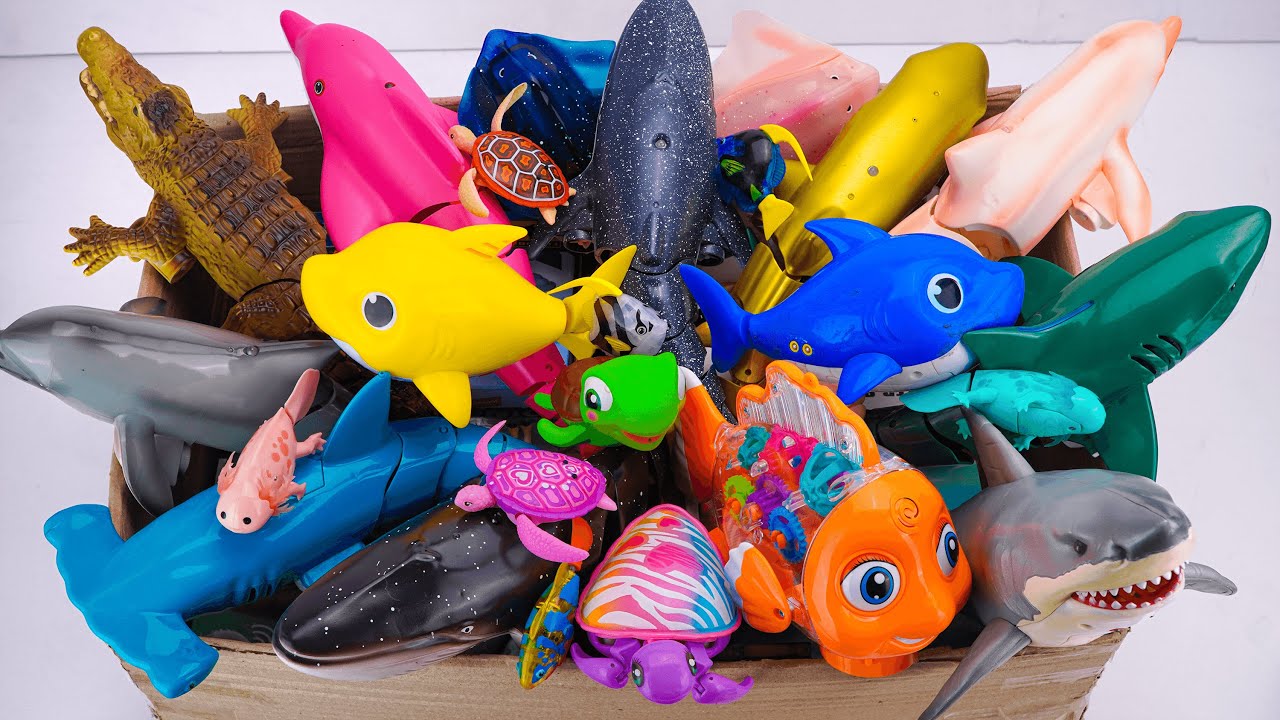 [Toy asmr] RC Shark & Hammer Shark & Crocodile & Baby Shark & Aquarium ASMR Satisfying with Unboxing
