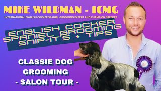 Mike Wildman   Classie Dog Grooming Salon walk through