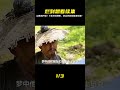 山寨真人版《葫蘆娃》,5毛特效爛到辣眼,卻忍不住想看續集 #电影 #电影解说 #影视 #影视解说 #剧情