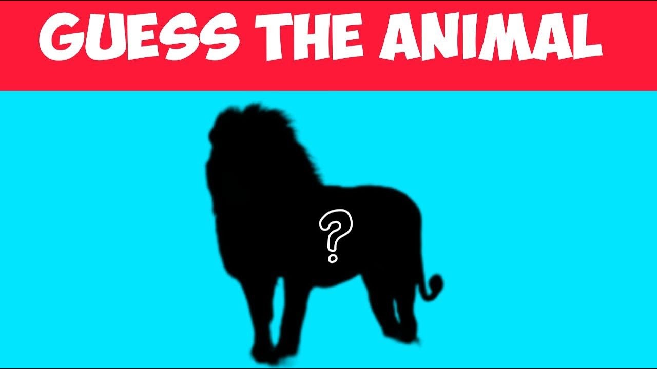 Guess the Animal by Shadow Challenge 🐾 | Fun Kids Animal Quiz Game ...