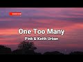 One Too Many P!nk &amp; Keith Urban lyrics