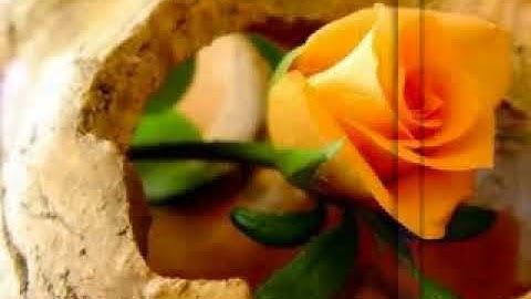 سورة الاسرء للشيخ طه حامد رباح