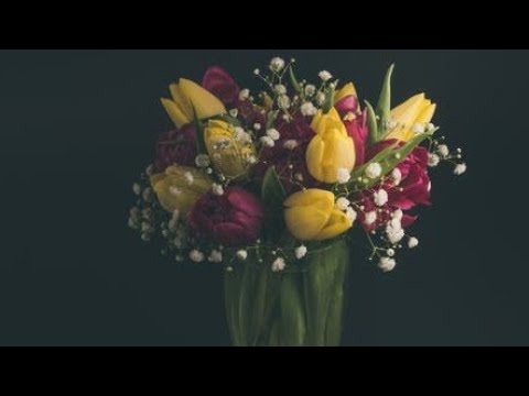 Video: Koliko dugo anemone traju u vazi?