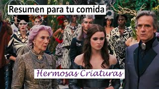 Hermosas Criaturas Resumen