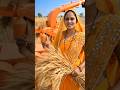 Smart Indian farmer's mind-blowing wheat harvesting jugad! 🌾😱 #short #viral