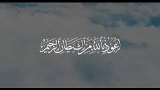 Surah Tauba 40 |La Tahzan Innallaha ma'ana | Abdur Rahman Mossad Recitation