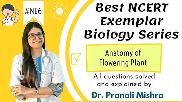 Anatomy of  Flowering Plants | Best NCERT EXEMPLAR Series |Dr. Pranali Mishra |  Chapter 5 11th PDF