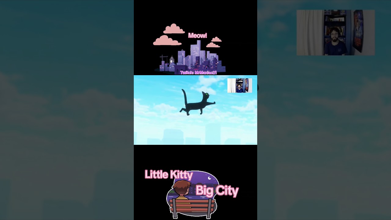 Little Kitty Big City! 