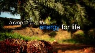 MALAYSIAN PALM OIL  BENEFITS - great service to the nation and the world