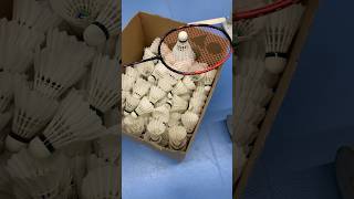 Good Warm Up Before Badminton Multi Training