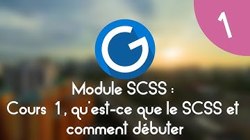 Formation IMM - Module SCSS : Cours tuto 1 , débuter en SCSS