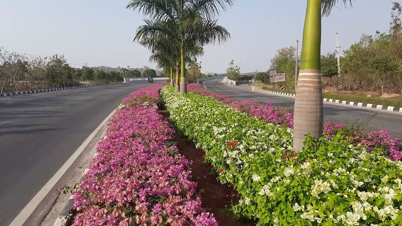 Green clean roads in India