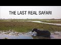 The Last Real Safari