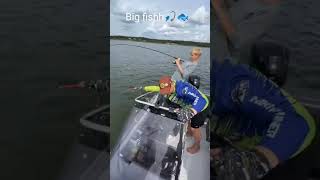 Уфф какой судак 4кг!! #рыбалка