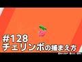 チェリンボを探している方に見てほしい動画