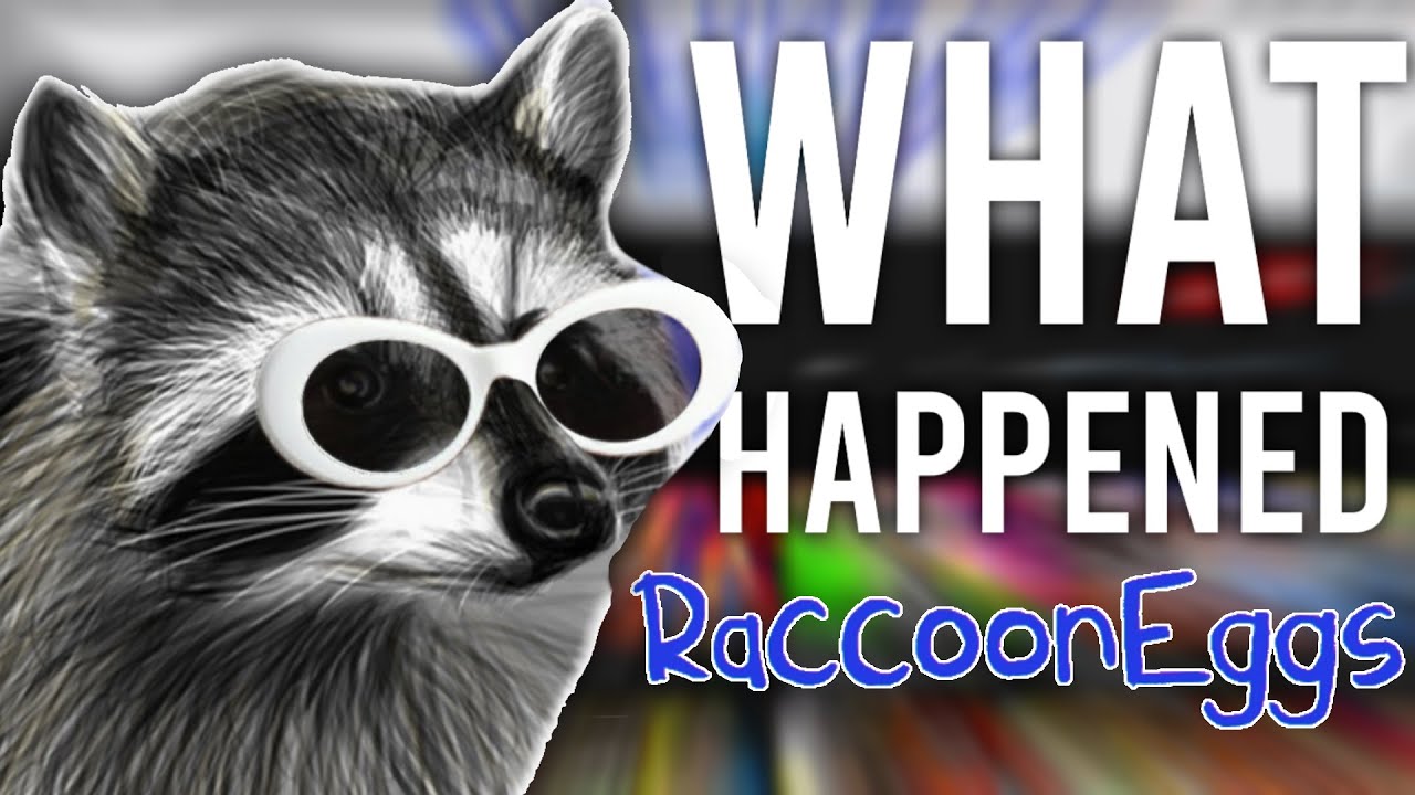 What actually happened to RaccoonEggs (RaccoonEggs explains why he quit