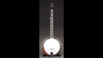 Nechville Orion 5 String Resonator Banjo