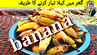 banana taiyar Karne Ka Tarika banana plants, how to a make a banana plant کیلا