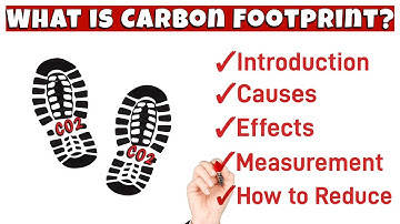 What is a Carbon Footprint? Causes | Effects | How to Measure and Reduce Carbon Footprint?