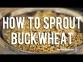 How to Sprout Buckwheat