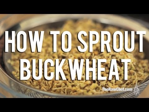 Video: Sprouted Buckwheat Cocktail - Step By Step Recipe With Photo