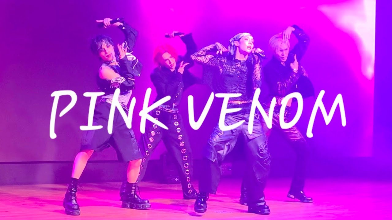XLOV - PINK VENOM (2025 XLOV 2ND FANMEETINGCLOXE 2U) BLACKPINK COVER 팬캠 핑크베놈