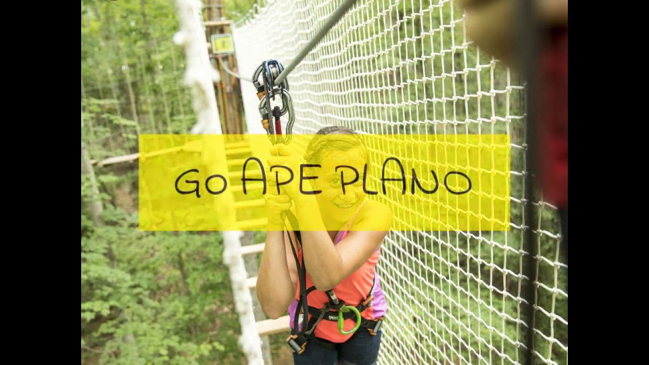Our Very Own Treetop Adventure In Plano Go Ape
